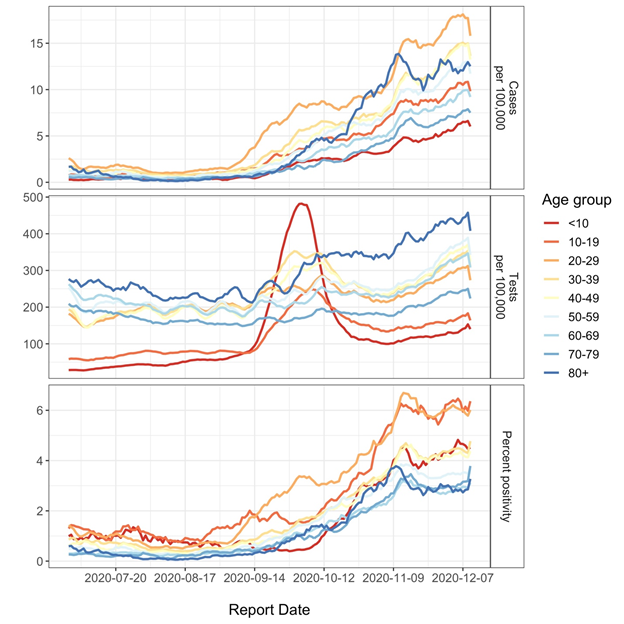 Journal Of A Plague Year Institute For Pandemics